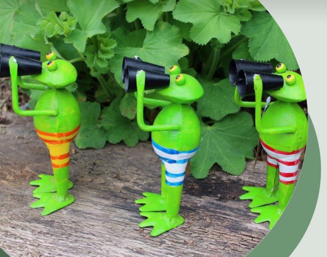Frog Figurines with Binoculars